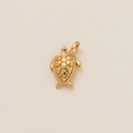 Detailopname van een gouden schildpad hanger met gepolijste afwerking en een honingraat textuur - Schildpad Hanger