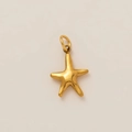 Detail van een 18K vergulde zeester hanger met glad oppervlak en ophangring - Zeester Hanger 1