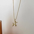 Minimalistische goldene Ballon-Hund-Halskette mit eleganter quadratischer Gliederkette - Weizenkette Halskette / Gold