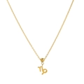 Golden stainless steel necklace with Capricorn zodiac sign pendant and beaded detail - Capricorn Pendant Only (Without Chain)