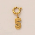 Detail van een vergulde geluksgetal 5 hanger met veersluiting voor een ketting - Nummer 5 Stijl (5)
