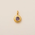 Gold finish zodiac pendant with purple cubic zirconia and stainless steel birthstone charm - February
