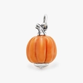 Pendentif citrouille en acier titane avec émail orange pour la création de bijoux DIY - Citrouille / Acier