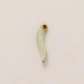 Colgante en forma de cuerno blanco crema con motas verdes y lazo de metal chapado en oro 18K - Chiles Con Manchas Grises