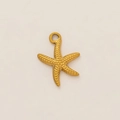Detail view of a 18k gold plated starfish pendant with a unique grainy texture finish - Spotted Sea Star Pendant