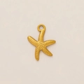 Détail macro du pendentif étoile de mer dorée avec texture grainée et placage 18 carats - Pendentif Étoile de Mer Texturé