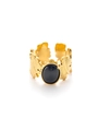 Anillo ajustable de acero de titanio dorado con piedra negra y motivo de hojas - Leaf Texture Design (Style 3) / Piedra de Ojo de Gato Azul Marino