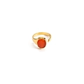 Anillo ajustable de titanio dorado con piedra naranja ovalada y diseño de líneas - Simple Oval Inlay (Style 4) / Piedra de Ojo de Gato Rojo Anaranjado
