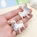 Pendentif Chihuahua en acrylique avec impression réaliste pour bijoux DIY - Chihuahua Imprimé Marron (24029) / 39x34x2mm