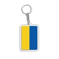 Acrylic keychain with blue and yellow flag colors on a transparent rectangular pendant - Ukraine