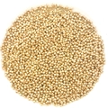 Polished round gold-plated spacer beads set for handmade DIY necklace bracelet jewelry - Round Spacer Bead (14149)