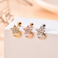 Makroaufnahme von Stern und Mond Zirkonia Ohrringen in Gold, Roségold und Silber - Stern Mond Stil-1# / Gold