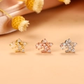 Vista macro di orecchini a stella con finiture in oro, oro rosa e argento - Stile Doppia Stella Intarsiata (6#) / Argento