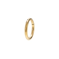 Polished gold stainless steel hinged segment ring for nose and lip piercings - 0.8*6mm / Gold