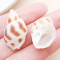 Natural ocean conch shell charms with brown spotted patterns for DIY jewelry making - Drilled Brown and White Small Babylonia Conch