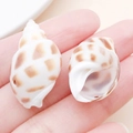 Natural ocean seashell pendant with brown spots and pre-drilled hole for DIY crafts - Drilled Large Brown and White Babylonia Conch