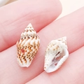 Handheld natural sea shell pendant beads with pre-drilled holes for DIY jewelry making - Drilled Brown and White Sami Conch with Side Hole