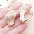 Pendentifs en conque naturelle avec bordure dorée pour la fabrication de bijoux DIY - 38x24mm Or Brun Conque Naturelle (25324) (Tailles Assorties)