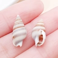 Natural striped spiral seashells for DIY handmade jewelry and craft projects - Drilled Brown and Yellow Striped Conch with Side Hole