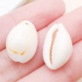 Natural white cowrie shell pendant with drill hole and orange ring for DIY jewelry making - Drilled Single Hole Creamy Yellow Conch