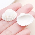 Pair of natural white seashell pendants with radial texture for DIY jewelry making - Creamy Yellow Natural Shell