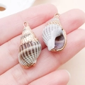 Pendentifs en coquillage naturel plaqués or rose pour création de bijoux DIY - 24x13mm Or Gris Brun Conque Naturelle Rayures Noires (25313) (Tailles Assorties)