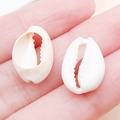 Natural white cowrie shell charms for DIY jewelry making on fingertip display - Drilled Sliced Creamy Yellow Conch
