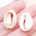 Natural sea shell pendants with pre-drilled holes for DIY jewelry making and crafts - Drilled Sliced Creamy Yellow Conch