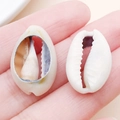Natural cowrie shell charms for DIY jewelry making, including sliced and whole styles - Sliced Grey Conch