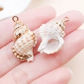 Pendentifs en coquillage naturel plaqué or avec bords métalliques pour bijoux DIY - 24x15mm Or Beige Conque Épée Naturelle (25315) (Tailles Assorties)