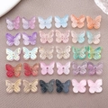 30pcs 10x11mm colorful transparent butterfly glass beads for DIY jewelry making - Perforated Butterfly Set (BE45) / 30 Pieces/Pack (15 Styles x 2) / Multicolor (15 Styles Random)