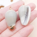 Pendentifs en coquillage naturel avec bords dorés pour la création de bijoux DIY - 30x16mm Or Gris Blanc Coquillage Marin Naturel (25321) (Tailles Assorties)