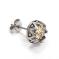 Makro-Seitenansicht von Vintage-Silber-Titan-Ohrstecker mit champagnerfarbenem Zirkon - Stahl Champagner Zirkonia