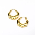 Polished gold geometric hexagonal earrings in bold minimalist stainless steel design - Gold Hexagon