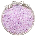Perles de rocaille de 4mm lilas avec revêtement irisées AB dans un plateau argenté - 4mm (Ouverture Environ 1mm) / 10g/Paquet(env. 170 pièces) / Série NB Violet