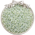 Perles de rocaille 4mm bleu clair aurora pour bijoux DIY dans un plateau décoratif - 4mm (Ouverture Environ 1mm) / 10g/Paquet(env. 170 pièces) / Vert Herbe(NB15)