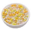 Colorful mixed glass seed beads in a white bowl for DIY jewelry making and crafts - Golden Dew