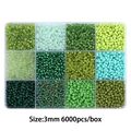 Green 3mm seed beads kit in 12-grid storage box for DIY jewelry making 6000pcs - 12-Grid Seed Bead Kit (Approx. 6000pcs/Box) / Green Series