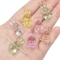 Translucent acrylic bunny beads in macaron colors for DIY jewelry making and crafts - 20Pcs/Pack / Rabbit (Transparent Glossy)