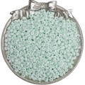 Perles de rocaille en verre vert menthe mat pour bijoux dans un plateau argenté - 4mm Trou Env. 0.5mm 10g/Paquet Env. 110pcs / Vert clair