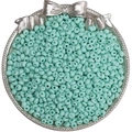 Perles de rocaille vert menthe mat pour création de bijoux DIY dans un plateau argenté - 4mm Trou Env. 0.5mm 10g/Paquet Env. 110pcs / Verdoyant