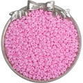 Perles de rocaille roses mates pour la fabrication de bijoux DIY dans un plateau argenté - 4mm Trou Env. 0.5mm 10g/Paquet Env. 110pcs / Rouge Rose