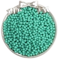 Bulk 4mm mint green glass seed beads for DIY handmade bracelets and phone chains - 4mm (10g/Pack) / Mint Porcelain