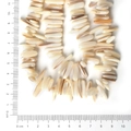 Natural shell beads for DIY jewelry with iridescent white and tan rectangle shapes - 10-30mm 38cm/str Approx 50pcs / Natural White Shell