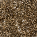 Dunkle bronzefarbene Metallperlen für DIY-Schmuckherstellung und Kleidungszubehör - 2x6mm, Lochdurchmesser ca. 0,8 mm, 10 g/Packung (ca. 300 Stück) / Altgold