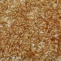 Bulk 450g metallic amber gold bugle beads for DIY embroidery and jewelry making - 2x6mm, Aperture Approx 0.8mm, 10g/Pack (Approx 300 Pcs) / Gold