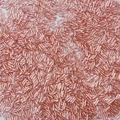 Roségoldene Spiral-Glasperlen für DIY-Schmuckherstellung und Stickereiprojekte - 2x6mm, Lochdurchmesser ca. 0,8 mm, 10 g/Packung (ca. 300 Stück) / Rosa
