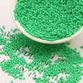 100g Packung leuchtend grüne Glasperlen für DIY-Schmuckherstellung in einer weißen Schale - 100g/Packung / Grün