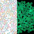 Perles rondes en acrylique à motif d'étoile avec effet lumineux pour bijoux DIY - Perles Plates Pentagramme 4x7mm Lumineux Blanc Transparent & Étoile Couleur