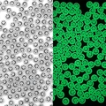 Perles acryliques lumineuses avec motif smiley blanc et vert brillant pour bijoux DIY - Perles Plates Smiley 4x7mm Lumineux Blanc Transparent & Sourire Noir